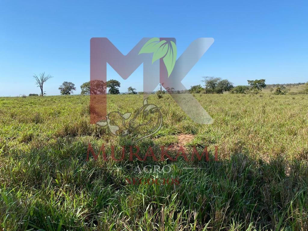 Fazenda à venda com 2 quartos, 3810m² - Foto 3