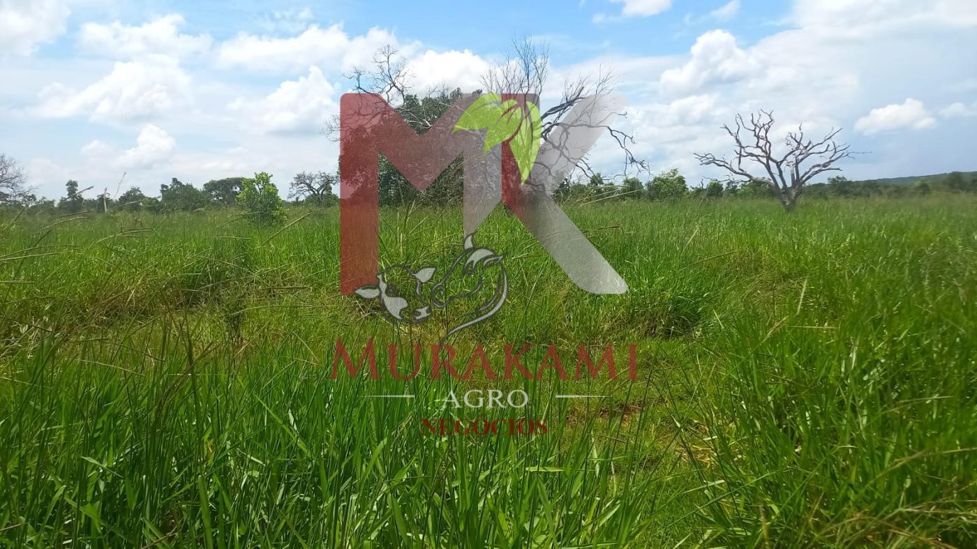 Fazenda à venda, 880m² - Foto 6