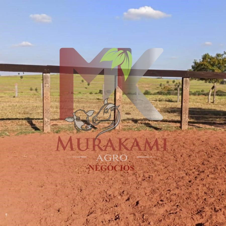 Fazenda à venda, 250m² - Foto 9