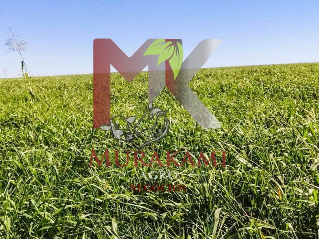 Fazenda à venda, 94m² - Foto 3