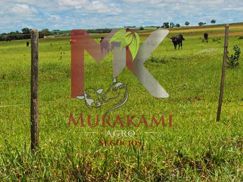 Fazenda à venda com 2 quartos - Foto 18