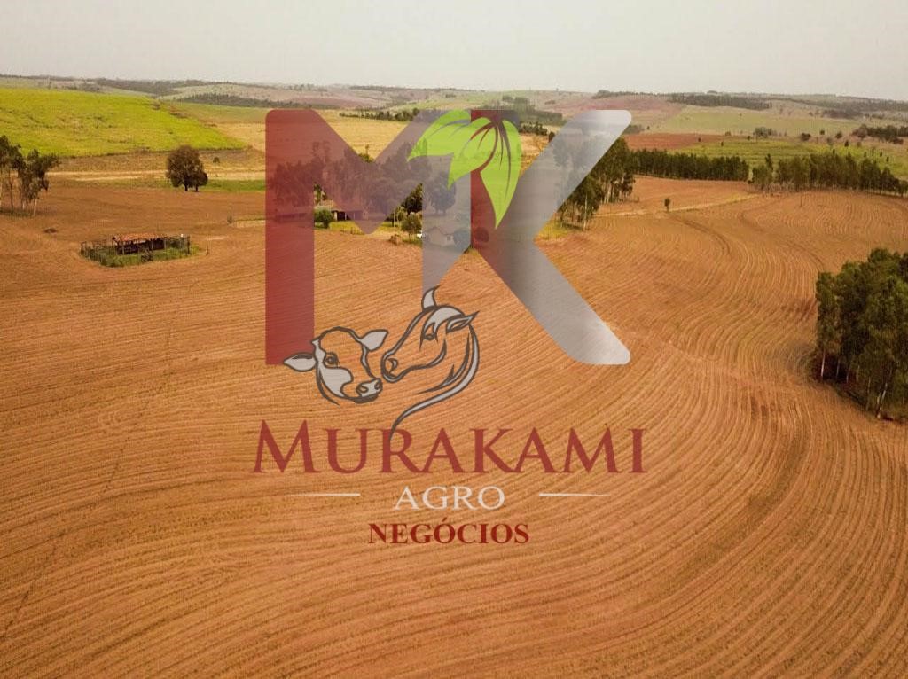 Fazenda à venda com 6 quartos, 971m² - Foto 19