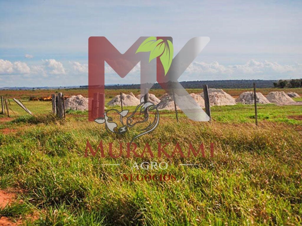 Fazenda à venda com 2 quartos - Foto 19