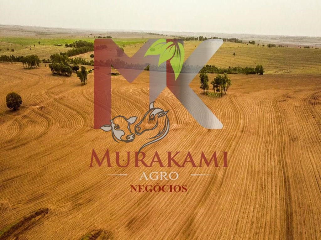 Fazenda à venda com 6 quartos, 971m² - Foto 5