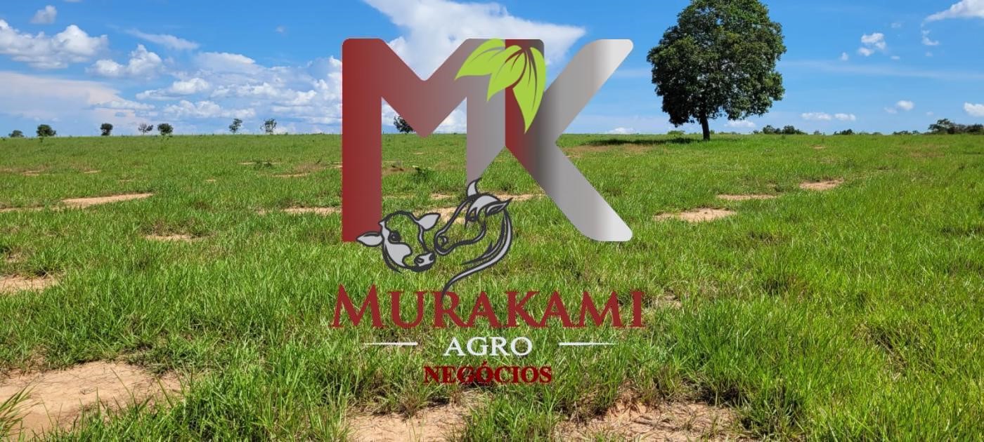 Fazenda à venda com 5 quartos, 1490m² - Foto 14