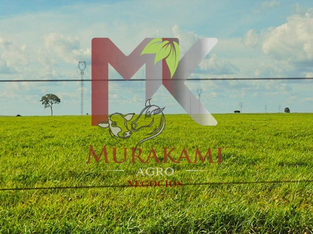 Fazenda à venda com 2 quartos - Foto 7
