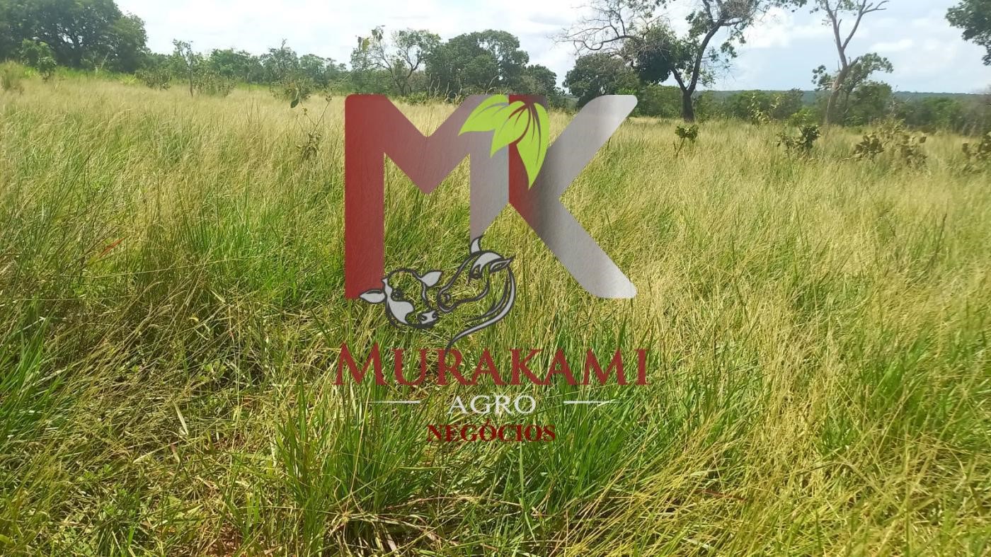 Fazenda à venda, 880m² - Foto 47