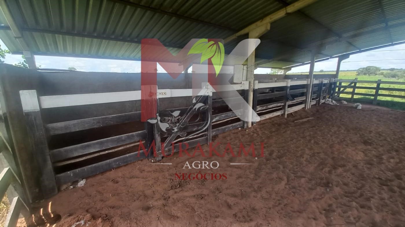 Fazenda à venda, 880m² - Foto 29