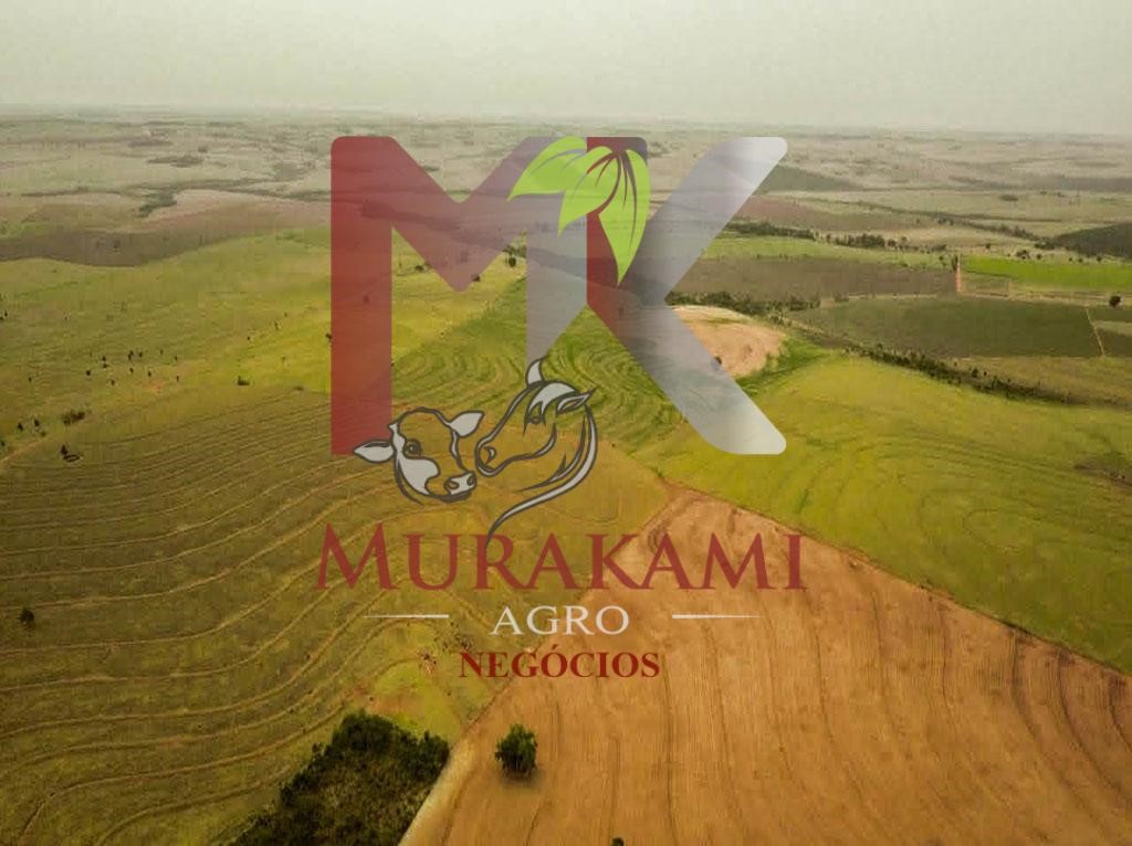 Fazenda à venda com 6 quartos, 971m² - Foto 4