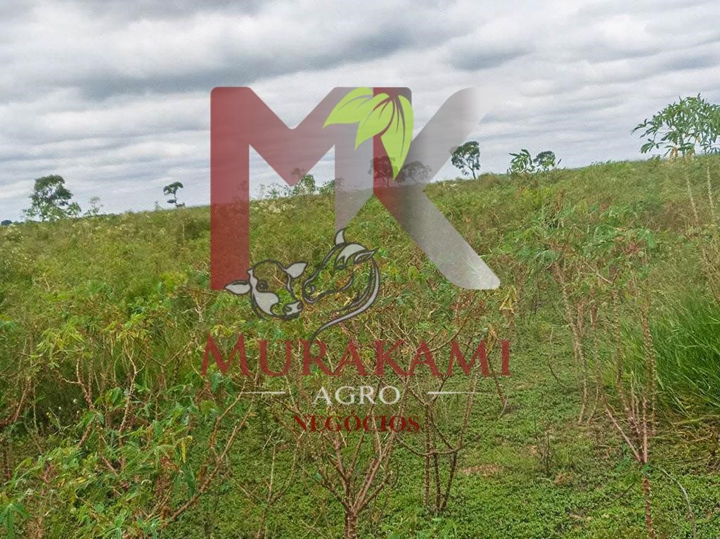 Fazenda à venda, 94m² - Foto 2