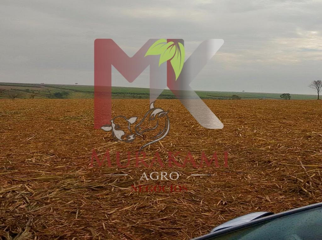 Fazenda à venda - Foto 2
