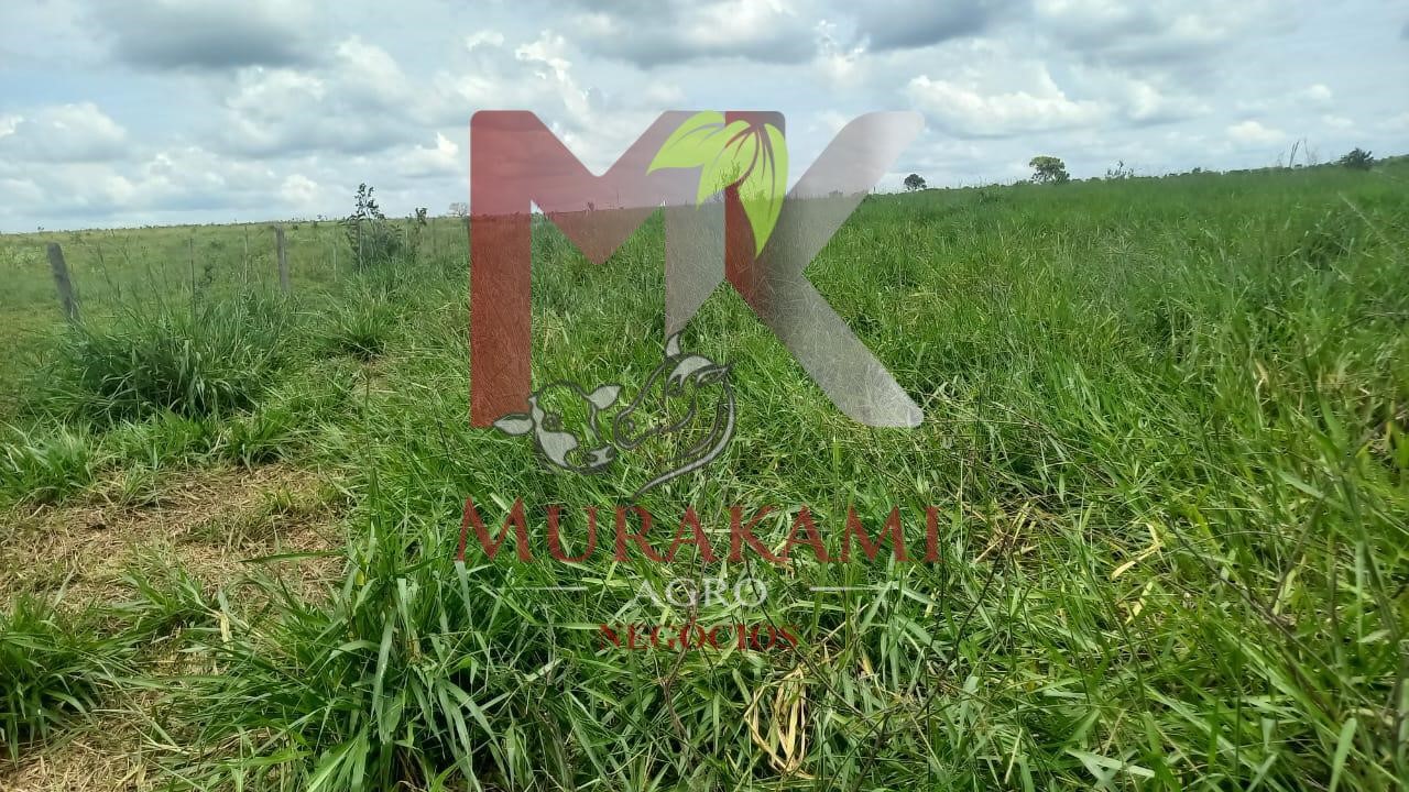 Fazenda à venda, 880m² - Foto 46