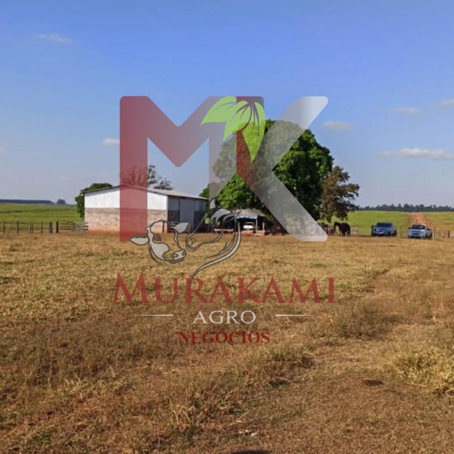Fazenda à venda, 250m² - Foto 11