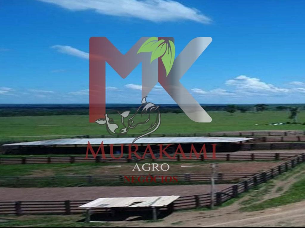 Fazenda à venda - Foto 14
