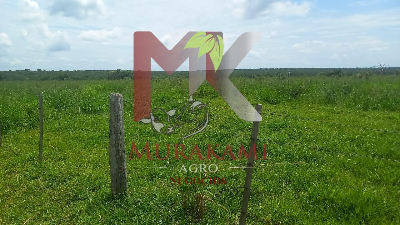 Fazenda à venda, 880m² - Foto 44