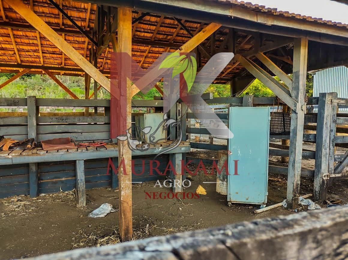 Fazenda à venda com 1 quarto, 100m² - Foto 5