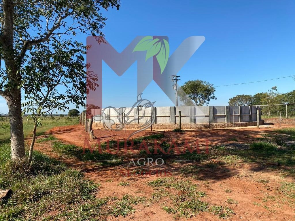 Fazenda à venda com 2 quartos, 3810m² - Foto 6