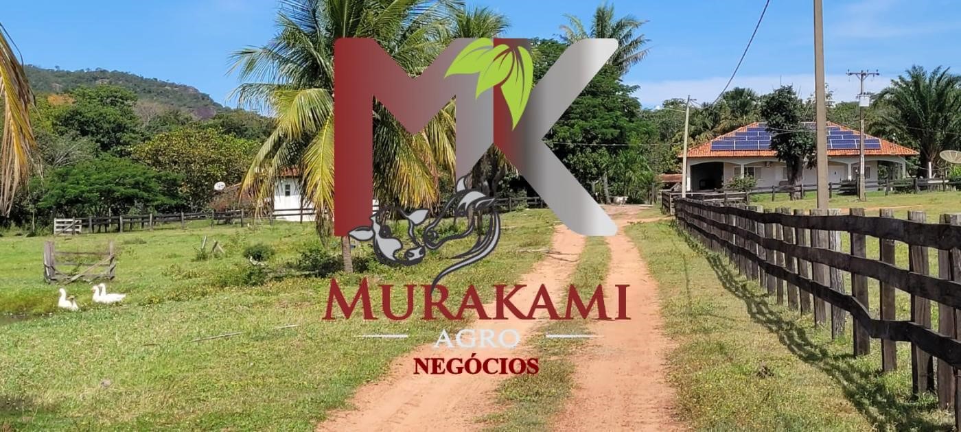 Fazenda à venda com 5 quartos, 1490m² - Foto 4