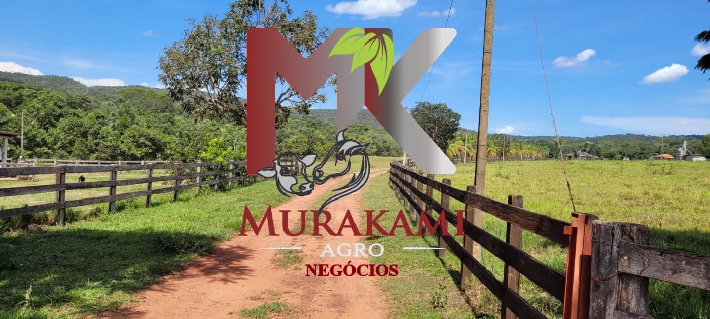 Fazenda à venda com 5 quartos, 1490m² - Foto 22