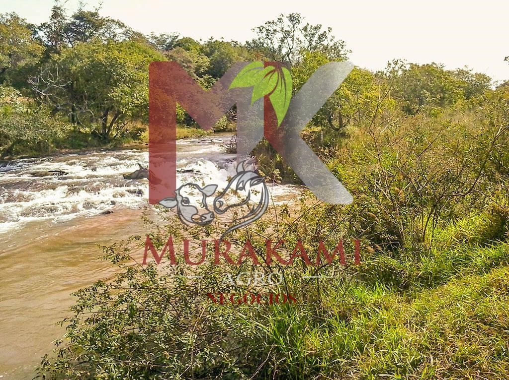 Fazenda à venda com 2 quartos - Foto 3