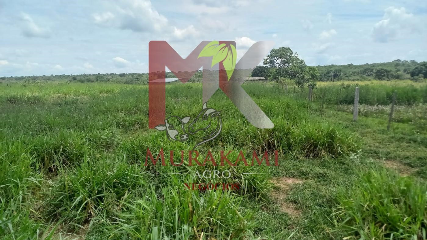 Fazenda à venda, 880m² - Foto 35