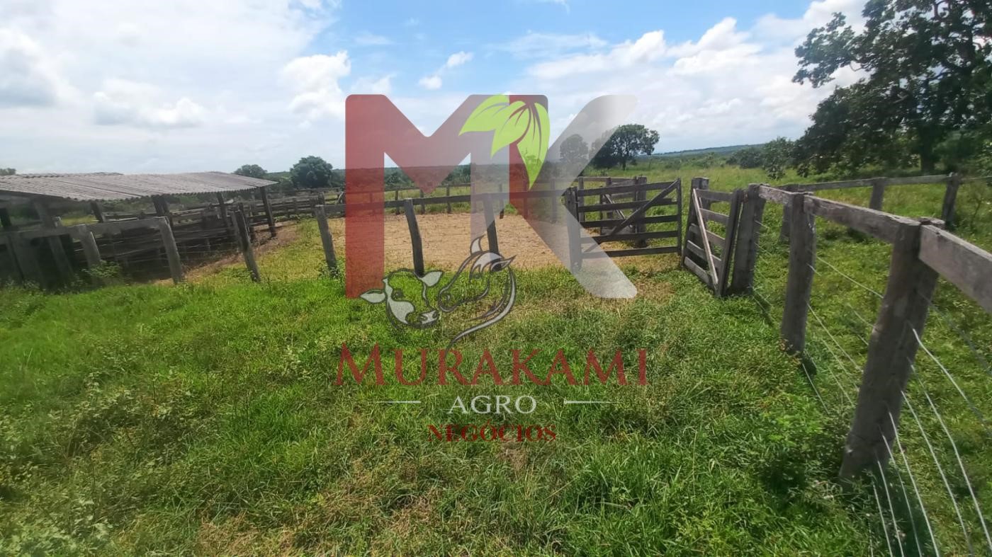 Fazenda à venda, 880m² - Foto 30