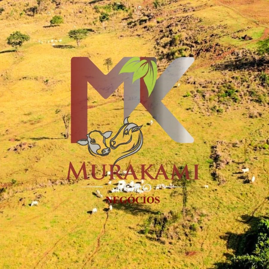 Fazenda à venda, 55m² - Foto 14