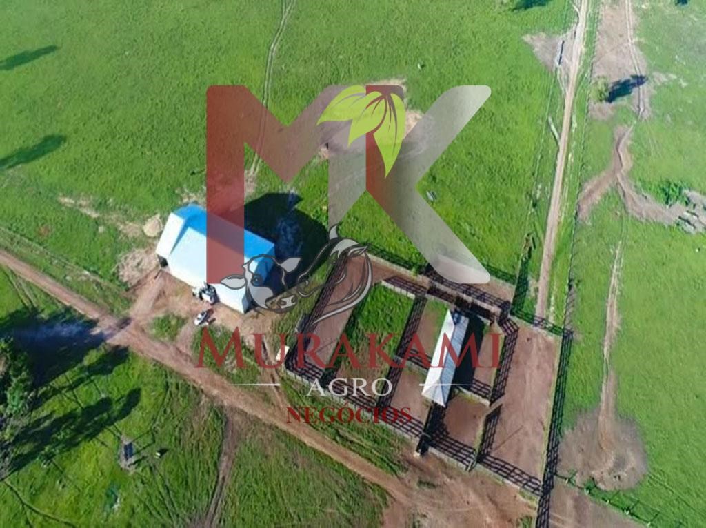 Fazenda à venda - Foto 1