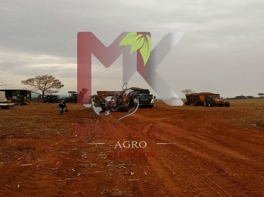 Fazenda à venda - Foto 8