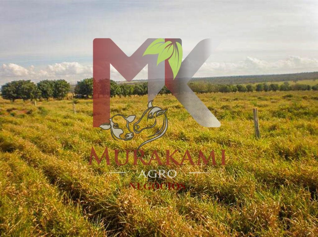 Fazenda à venda com 2 quartos - Foto 8