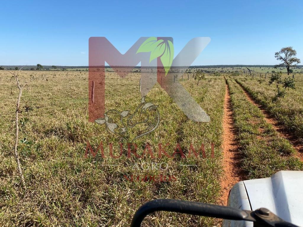 Fazenda à venda com 2 quartos, 3810m² - Foto 5