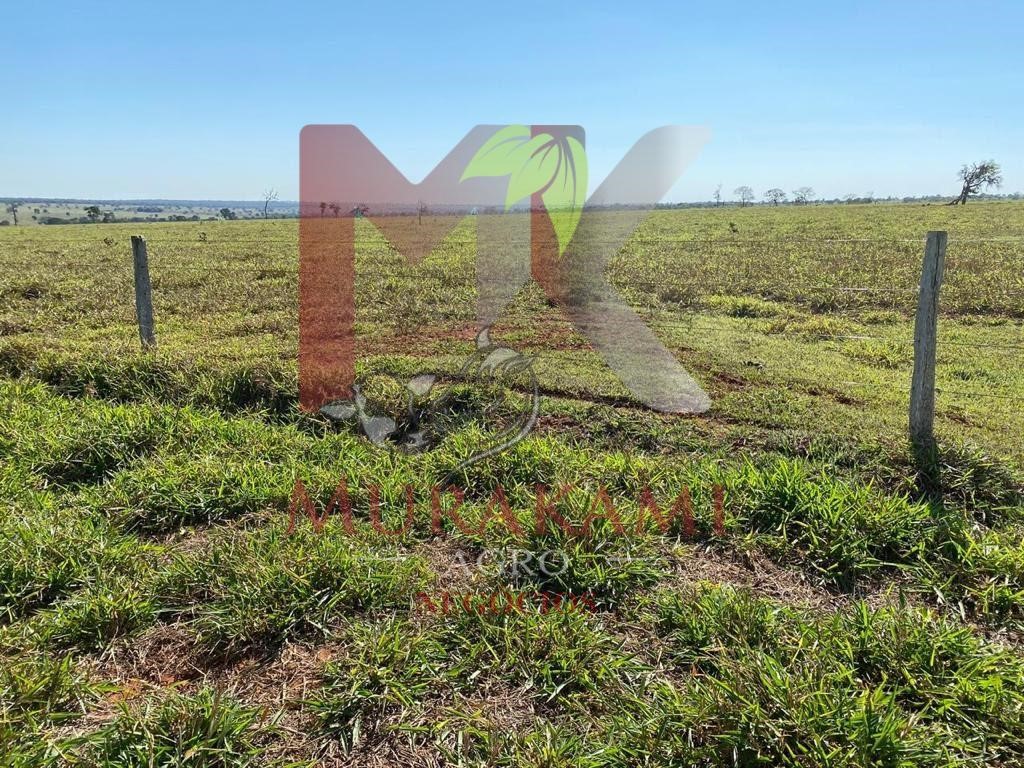 Fazenda à venda com 2 quartos, 3810m² - Foto 8