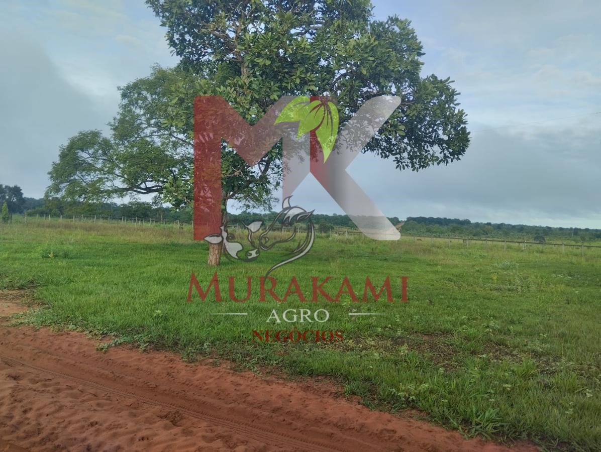 Fazenda à venda com 2 quartos, 1815m² - Foto 6