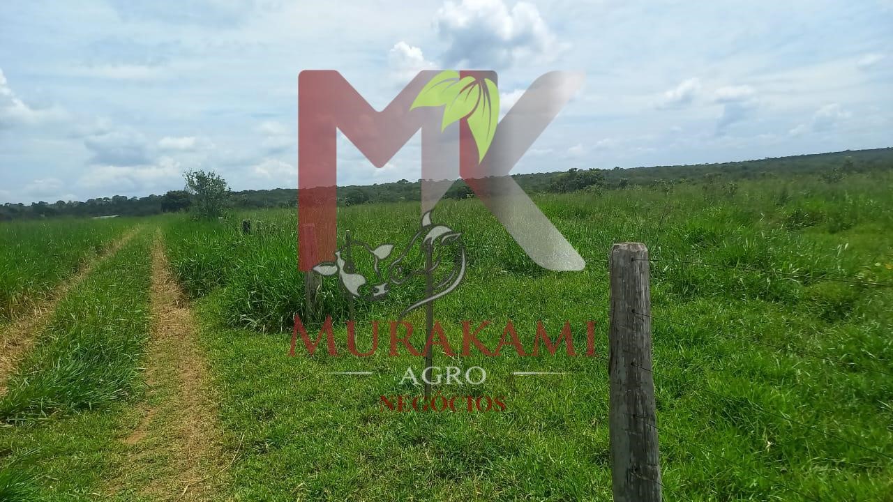Fazenda à venda, 880m² - Foto 42