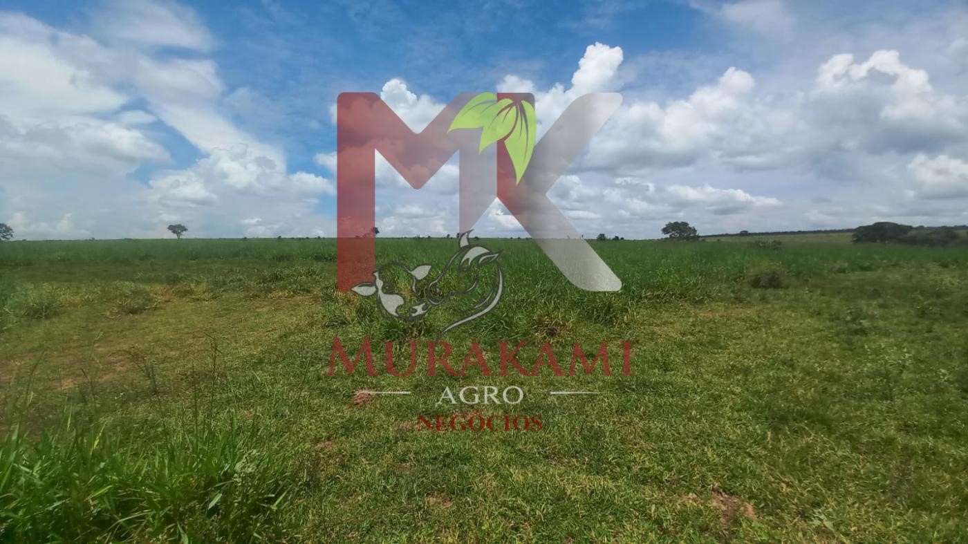Fazenda à venda, 880m² - Foto 27