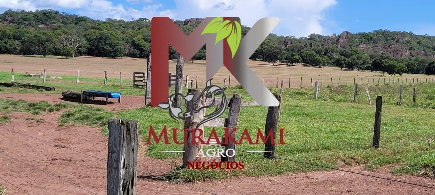 Fazenda à venda com 5 quartos, 1490m² - Foto 13