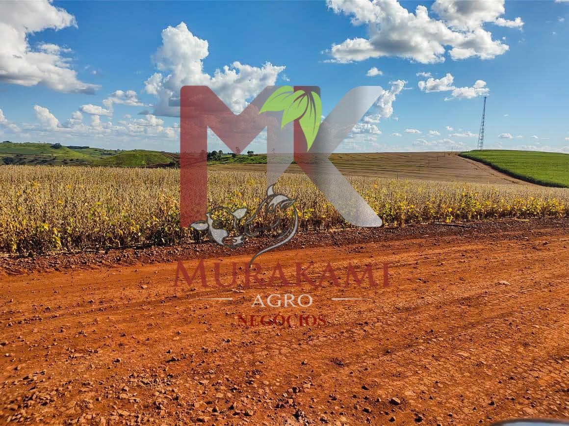 Fazenda à venda com 1 quarto, 100m² - Foto 10