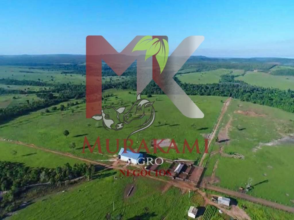 Fazenda à venda - Foto 3