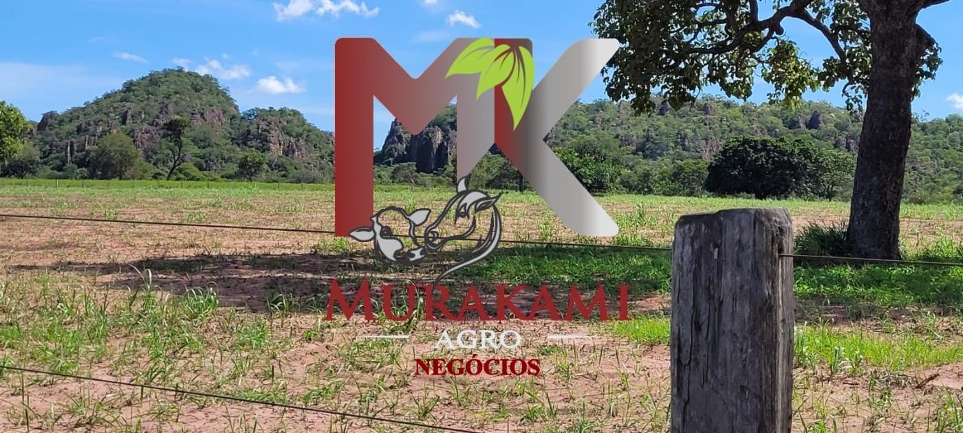 Fazenda à venda com 5 quartos, 1490m² - Foto 15