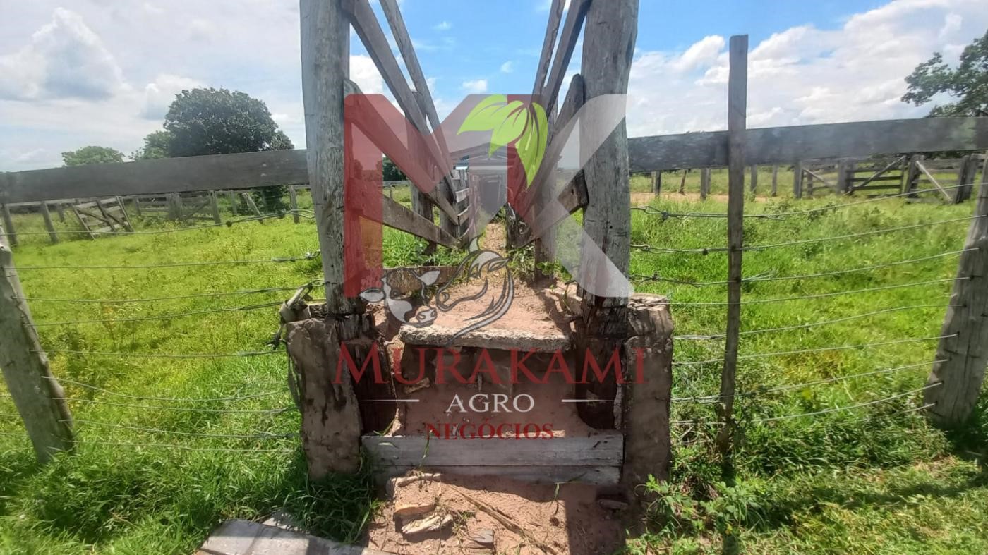 Fazenda à venda, 880m² - Foto 31
