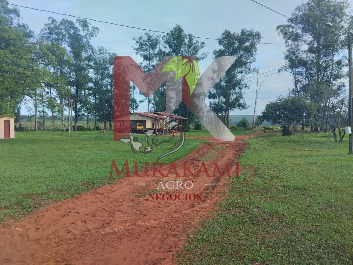Fazenda à venda com 2 quartos, 1815m² - Foto 10