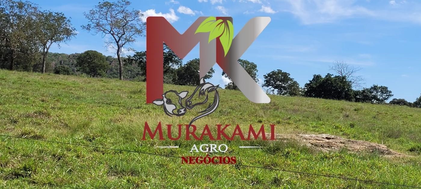 Fazenda à venda com 5 quartos, 1490m² - Foto 20