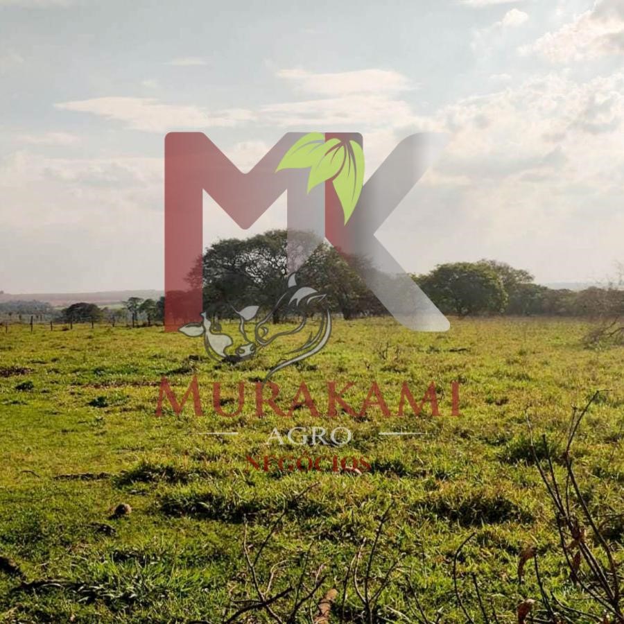 Fazenda à venda, 100m² - Foto 6