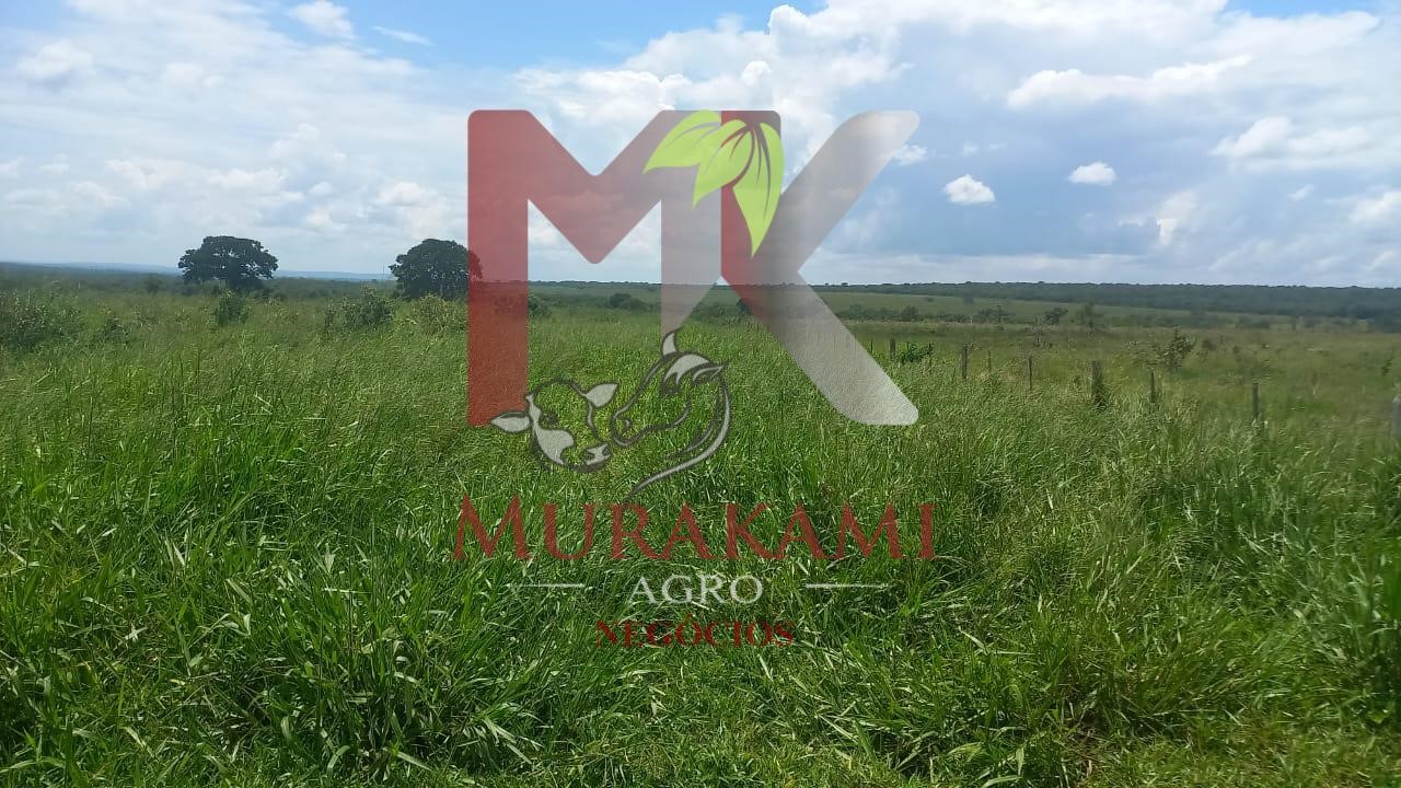 Fazenda à venda, 880m² - Foto 39