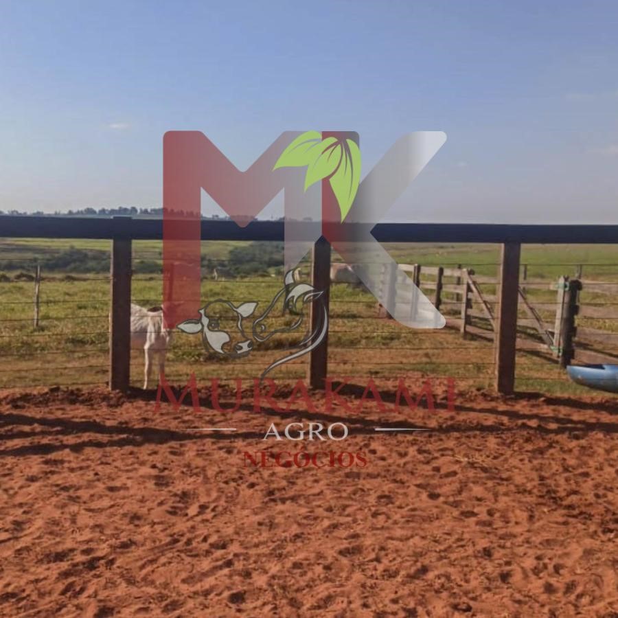 Fazenda à venda, 250m² - Foto 15