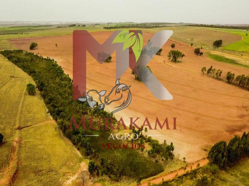 Fazenda à venda com 6 quartos, 971m² - Foto 1