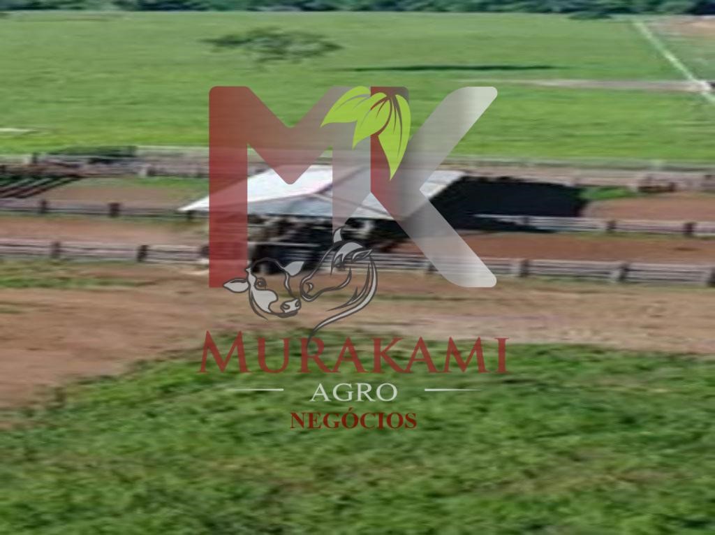 Fazenda à venda - Foto 12