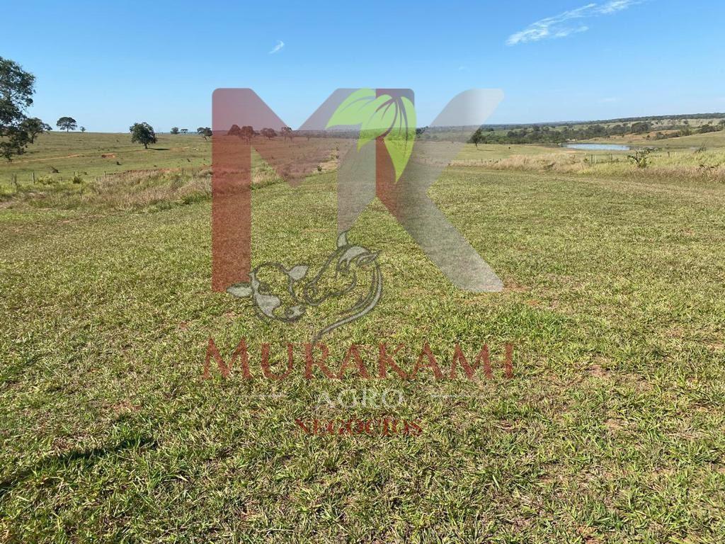 Fazenda à venda com 2 quartos, 3810m² - Foto 7