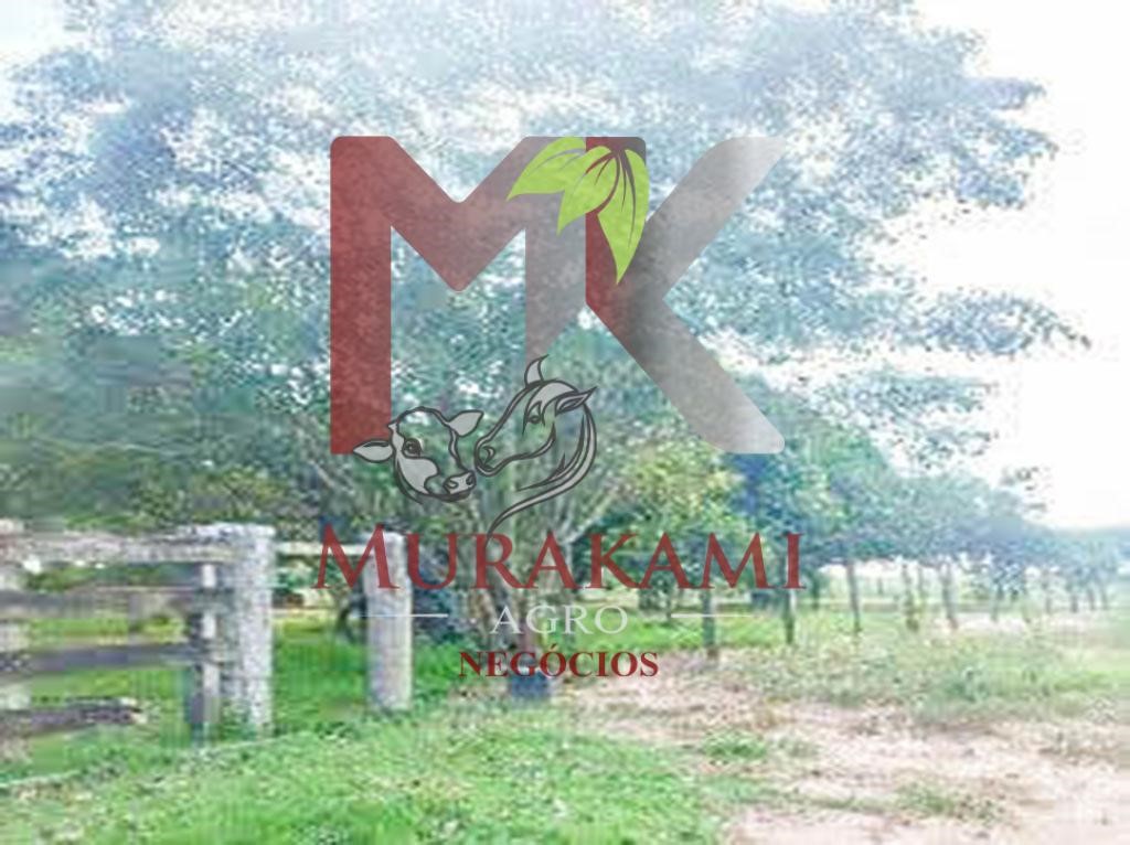Fazenda à venda, 94m² - Foto 5
