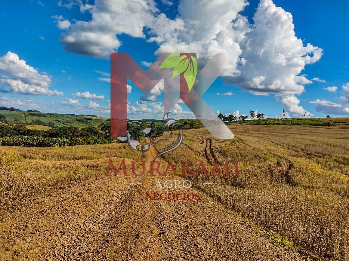Fazenda à venda com 1 quarto, 100m² - Foto 12